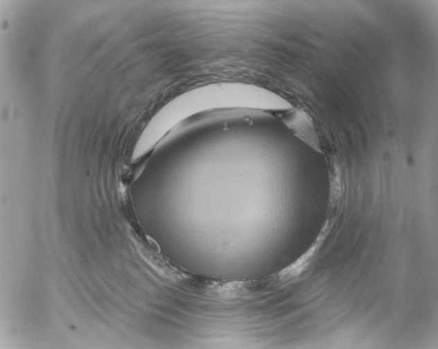 X0000053060186200508081203