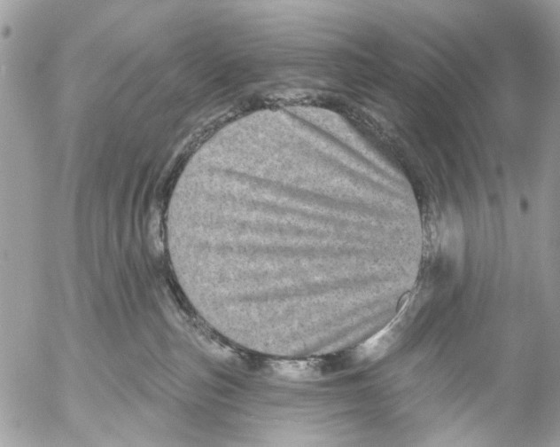 X0000053060187200508081203