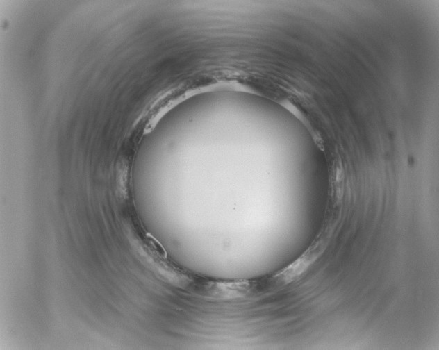 X0000053060188200508081203