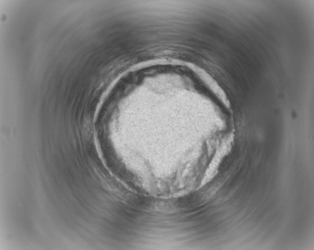 X0000053060189200508081203