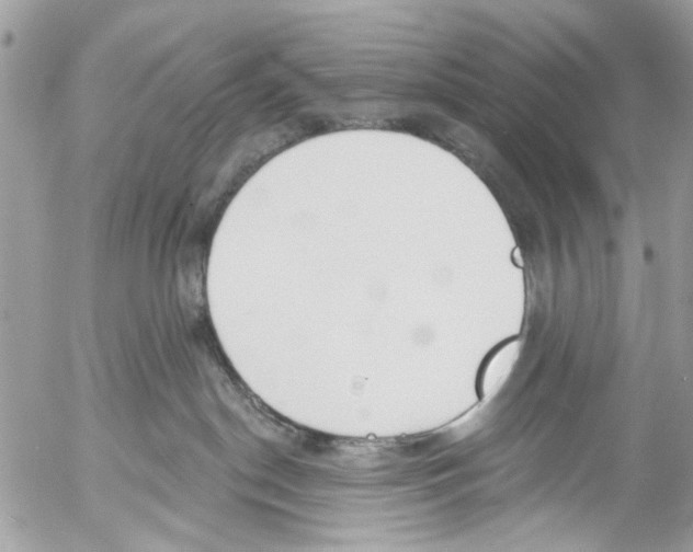 X0000053060190200508081203