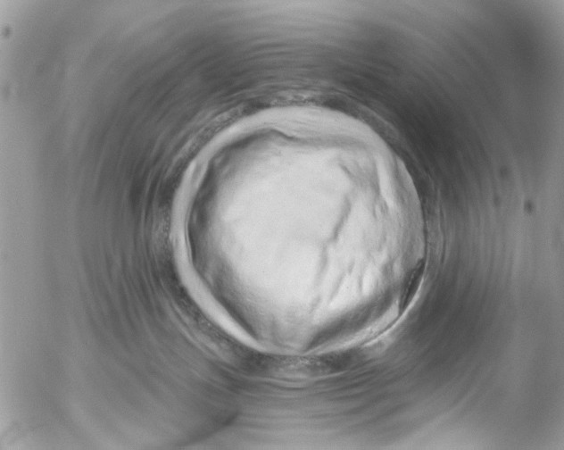 X0000053060191200508081203