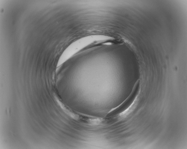 X0000053060192200508081203