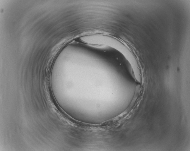 X0000053060193200508081203