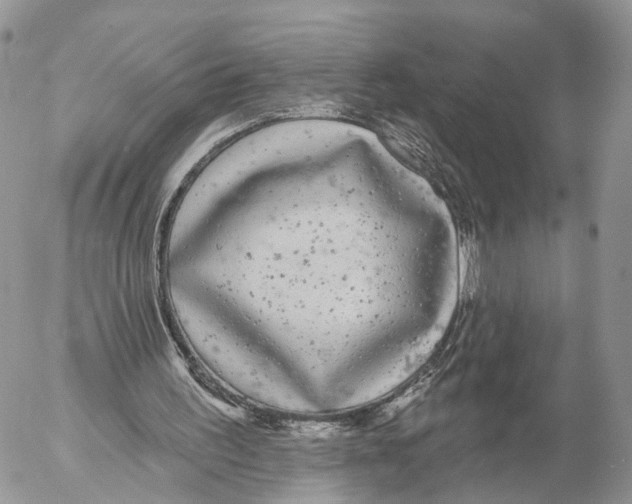 X0000053060195200508081203