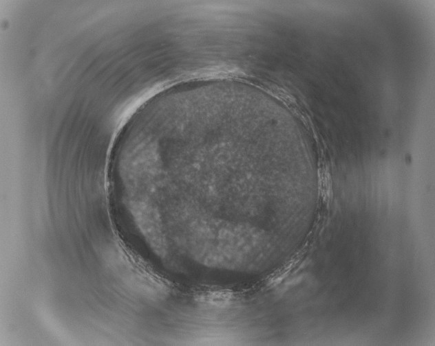 X0000053060196200508081203