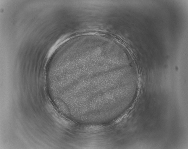 X0000053060198200508081203