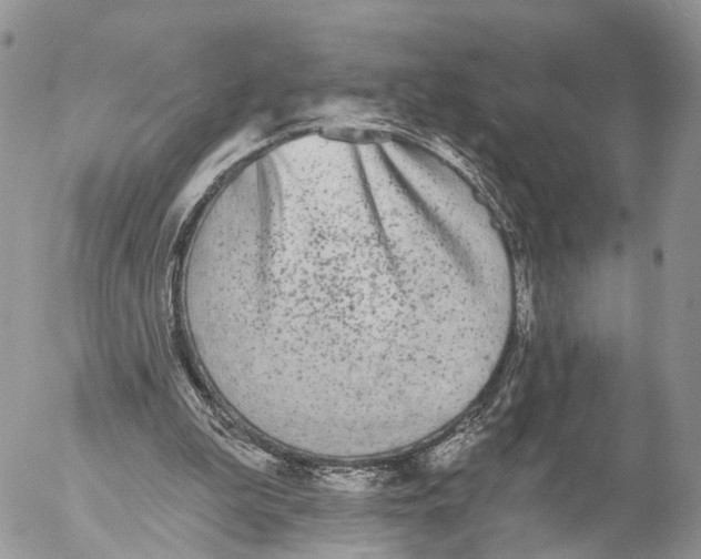 X0000053060199200508081203