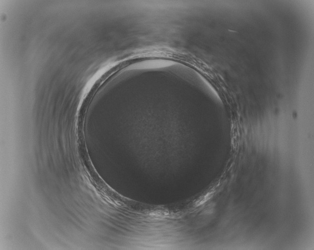 X0000053060200200508081203