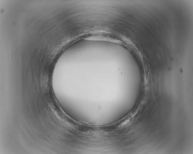 X0000053060201200508081203