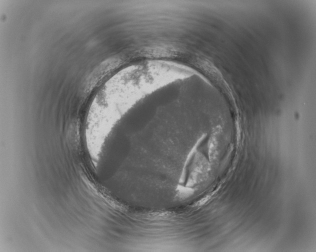 X0000053060202200508081202