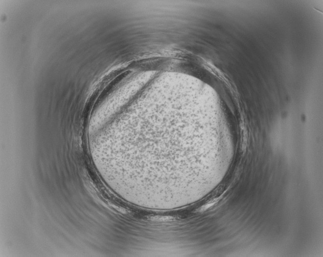 X0000053060203200508081202