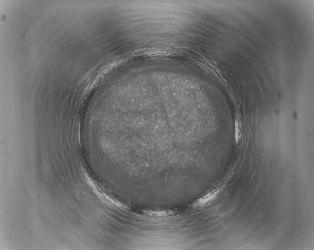 X0000053060205200508081202