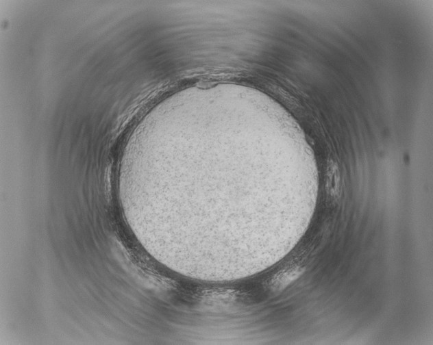 X0000053060206200508081202