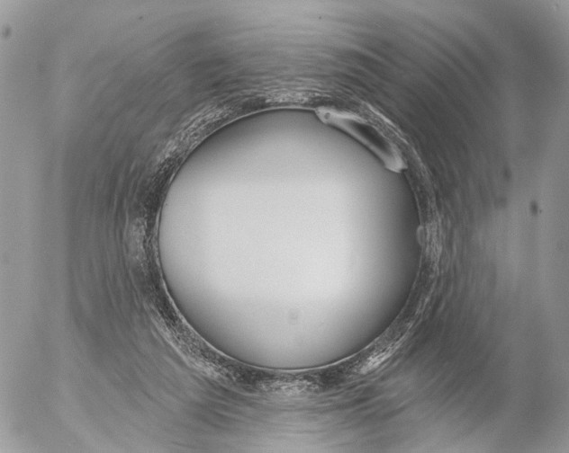 X0000053060209200508081202