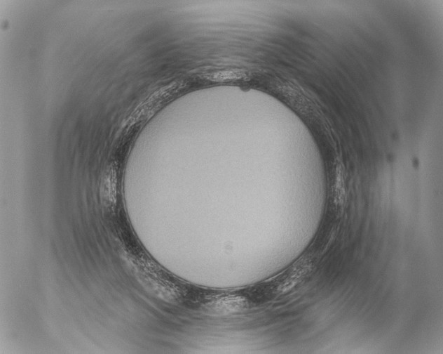 X0000053060210200508081202