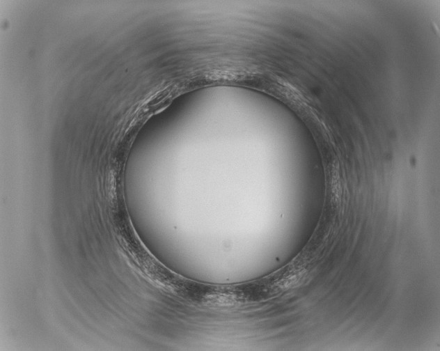 X0000053060211200508081202