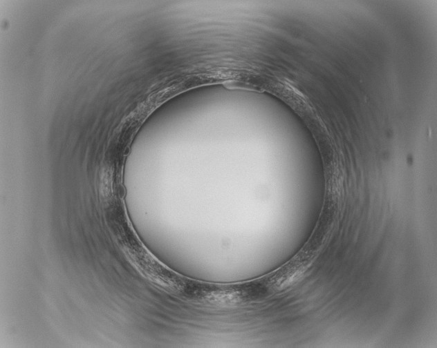 X0000053060213200508081202