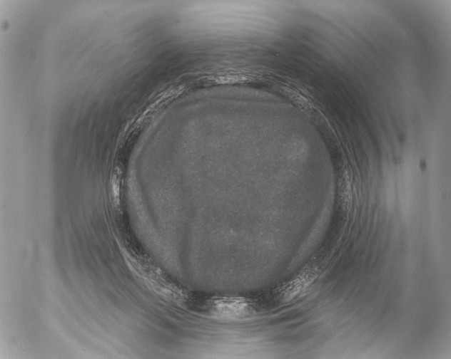 X0000053060214200508081202