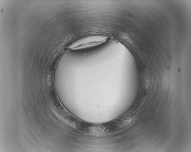 X0000053060215200508081202