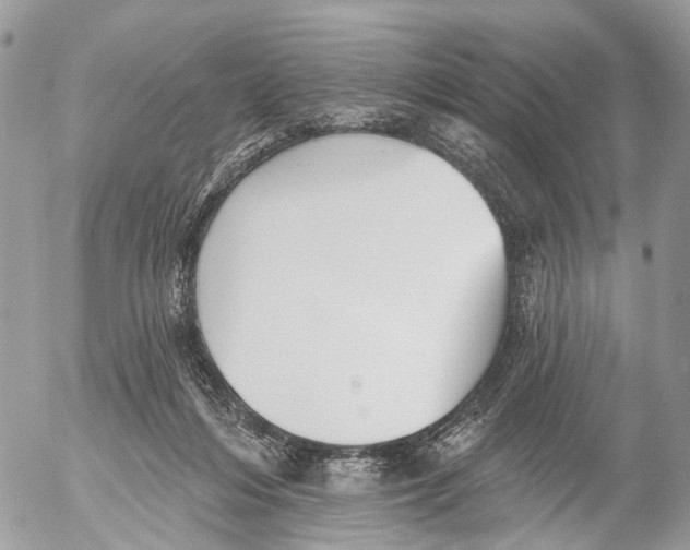 X0000053060216200508081202