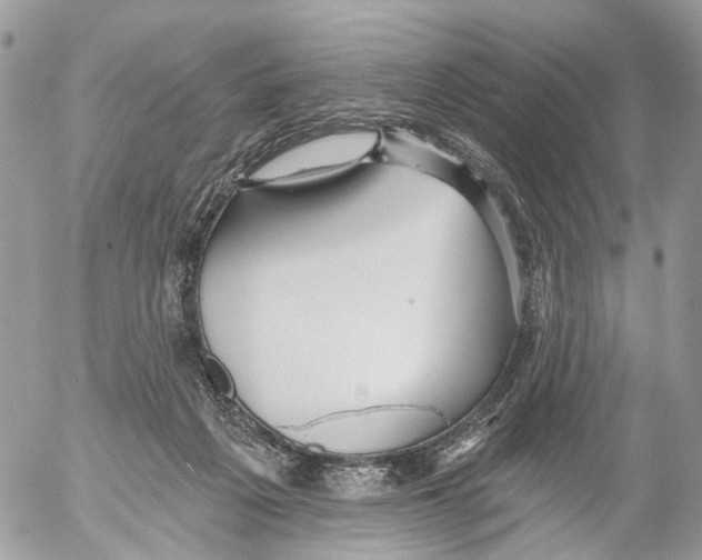 X0000053060217200508081202