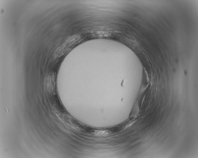 X0000053060218200508081202