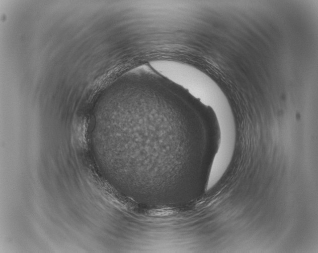 X0000053060219200508081202