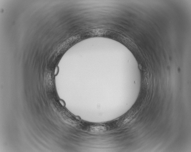 X0000053060220200508081202