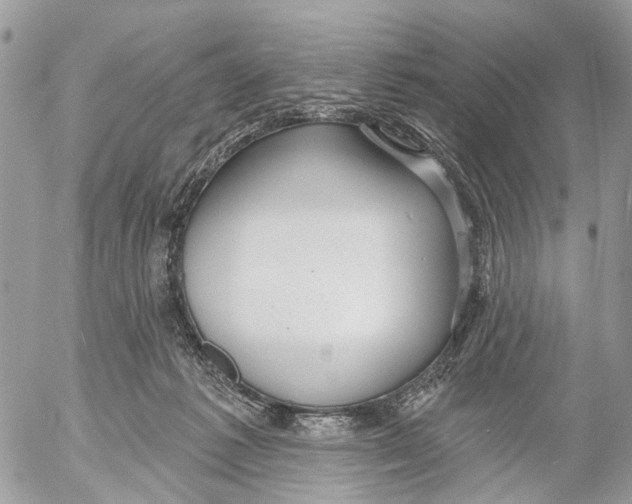 X0000053060221200508081202