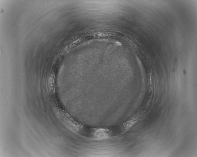 X0000053060222200508081202