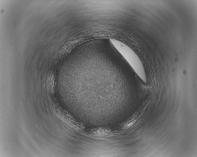 X0000053060223200508081202