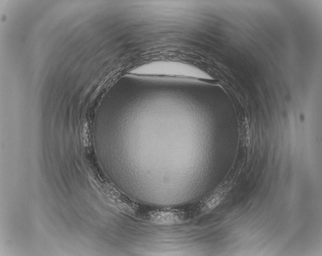 X0000053060224200508081202