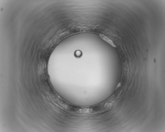 X0000053060225200508081202