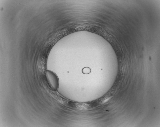 X0000053060226200508081202