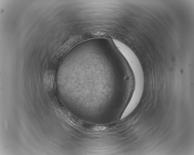 X0000053060227200508081202