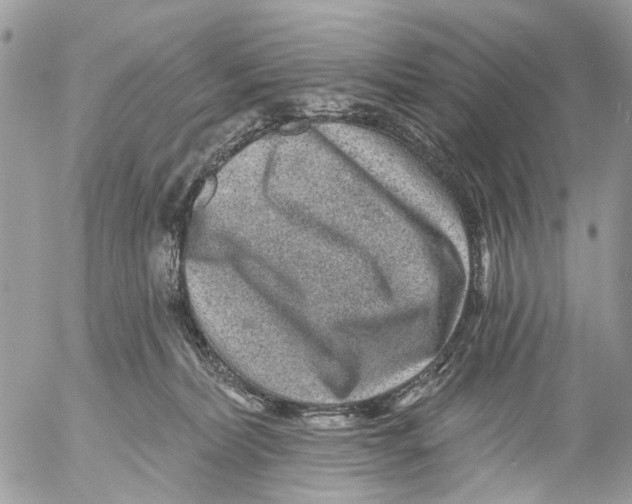 X0000053060228200508081202