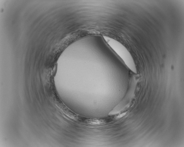 X0000053060229200508081202