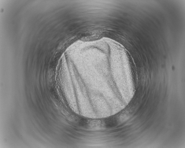 X0000053060230200508081202