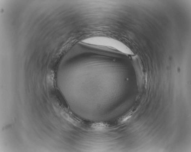 X0000053060231200508081202