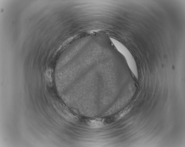 X0000053060232200508081202