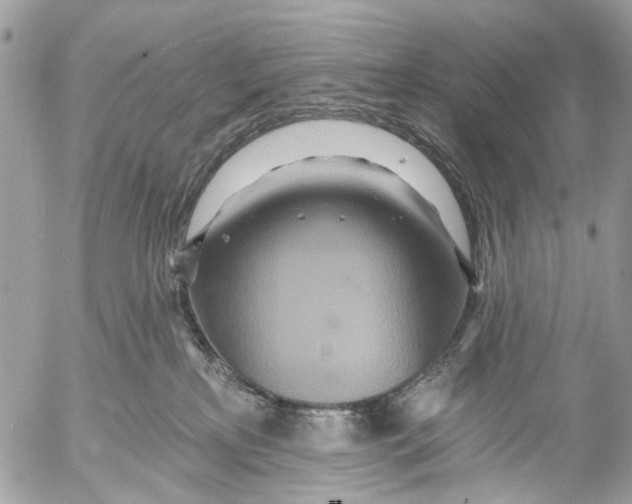 X0000053060233200508081202