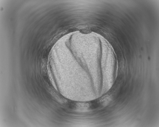 X0000053060234200508081202