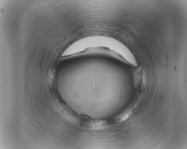 X0000053060235200508081202