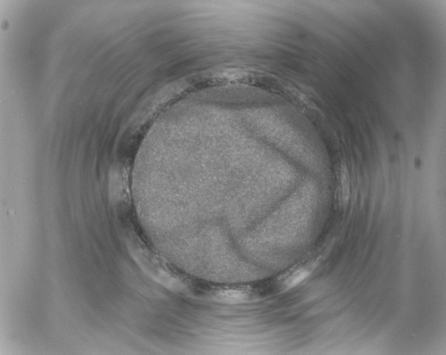 X0000053060236200508081202