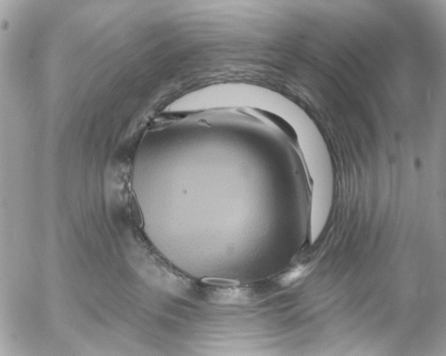 X0000053060237200508081202