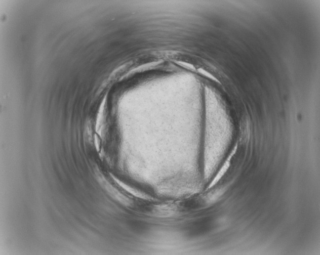 X0000053060238200508081202