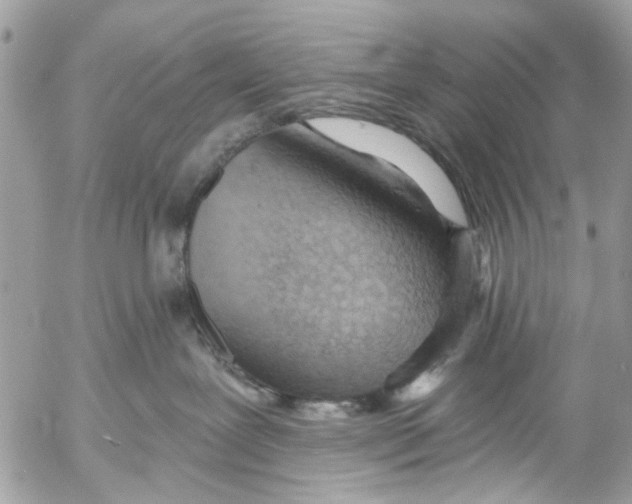 X0000053060239200508081202