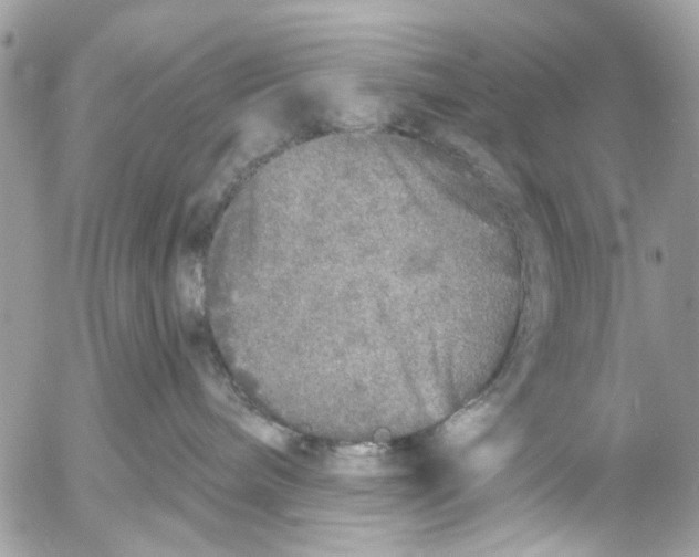 X0000053060240200508081202