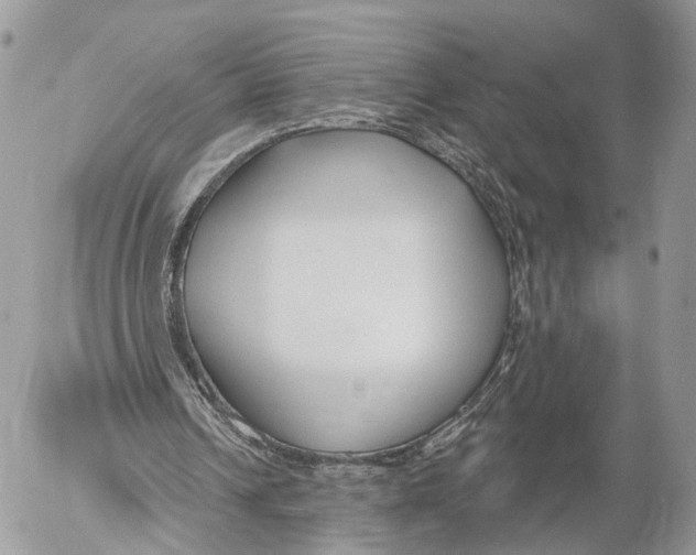 X0000053060242200508081201